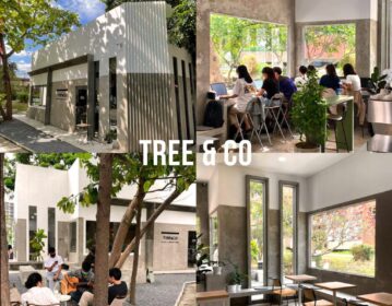 Tree & co