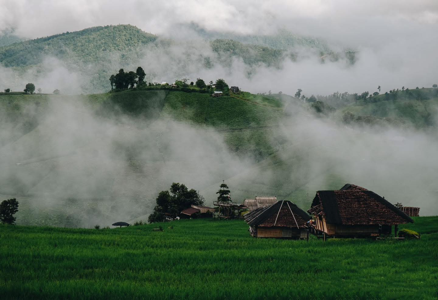 Discover the Hidden Paradise of Ban Pa Bong Piang – Breathtaking Views, Cozy Stays, and Peaceful Remote Work in Thailand